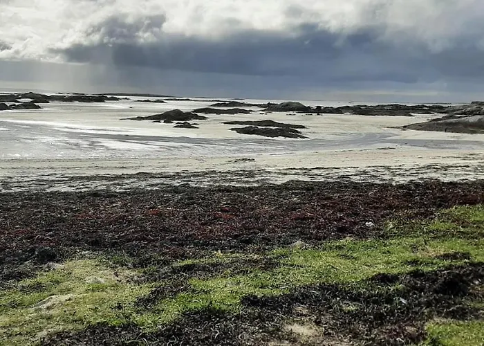 Ger's Nocleg ze śniadaniem